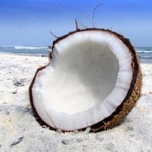 coconut-shell-on-a-beach1.jpg